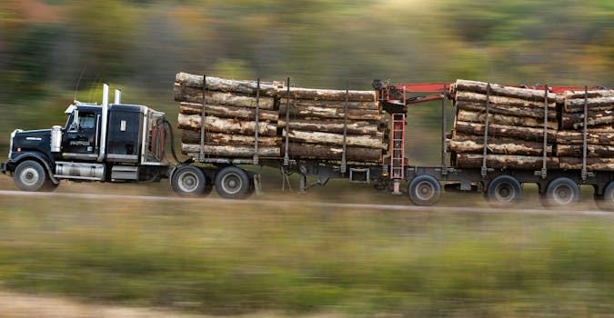 Camion de transport de bois bûché dans une forêt de Lanaudière